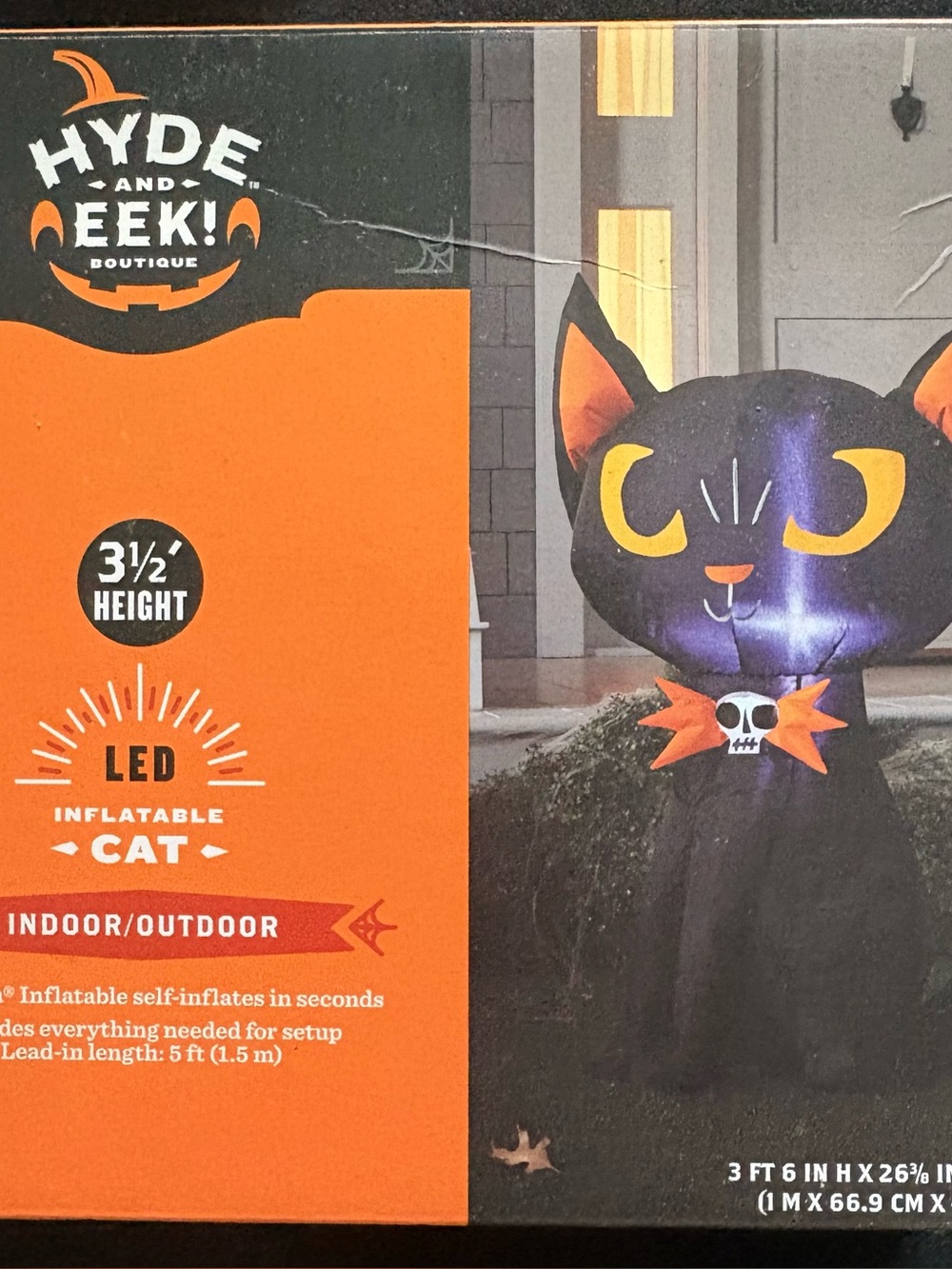 Inflatable Black Cat